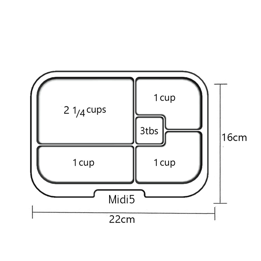 Extra Trays - Midi5 Clear Tray - YYZ Distribution