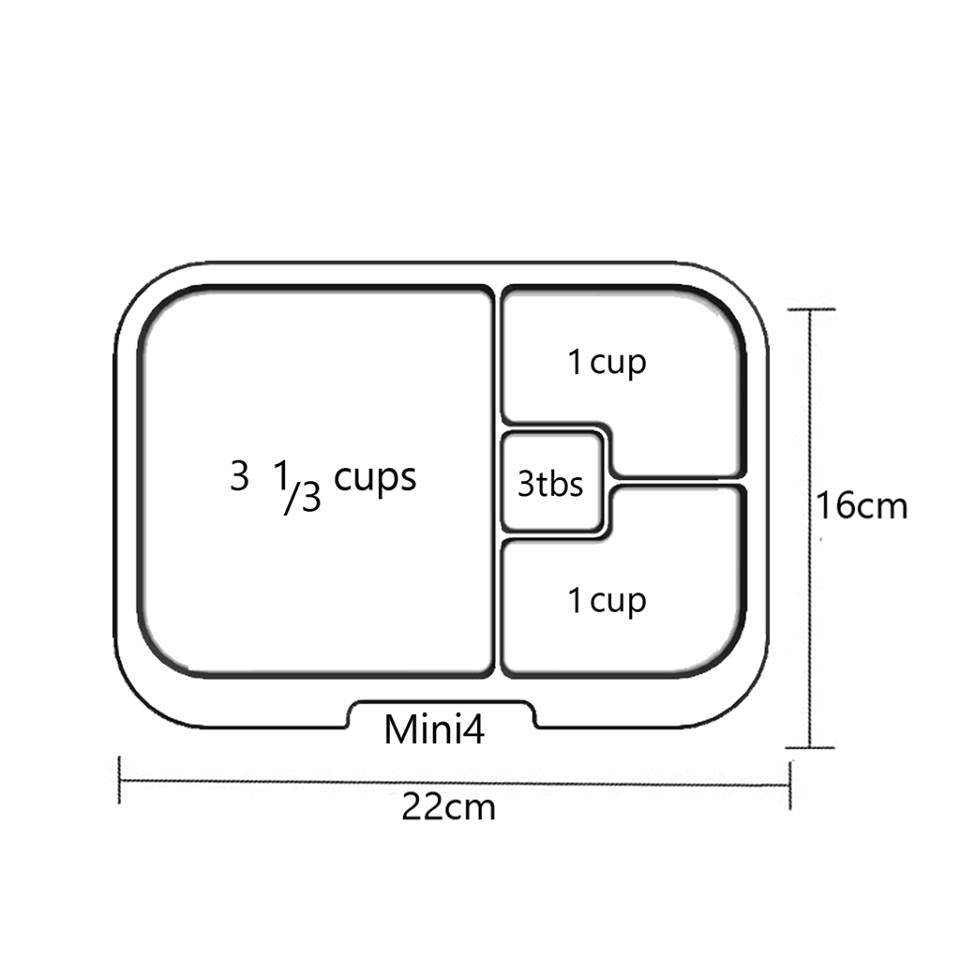 Extra Trays - Mini4 Clear Tray - YYZ Distribution